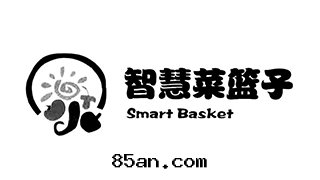 第(dì)一(yī)代(dài)生(shēng)鮮配送櫃電(diàn)子鎖，第(dì)二(èr)代(dài)智能儲物(wù)櫃電(diàn)子鎖S500，並(bìng)獲得國(guó)家(jiā)專利證書(shū)。
協助武漢家(jiā)事(shì)易成(chéng)功竞标(biāo)國(guó)家(jiā)農業部“智慧菜籃子”工程。
智嘉安(ān)電(diàn)子鎖成(chéng)功進(jìn)入(rù)日(rì)本(běn)市(shì)场(chǎng)。